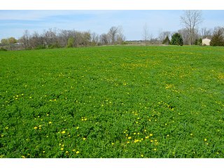 Property photo 117 - REAL ESTATE & PERSONAL PROPERTY AUCTION - 23.5+/- ACRES OFFERED IN 3 TRACTS OR COMBINATIONS IN EAST ALLEN COUNTY
